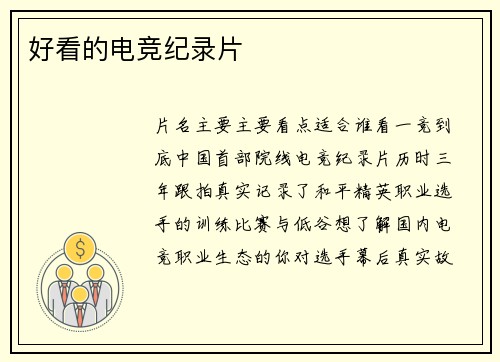 好看的电竞纪录片